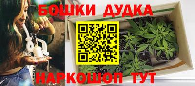 шишки Тара