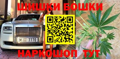 шишки Тара